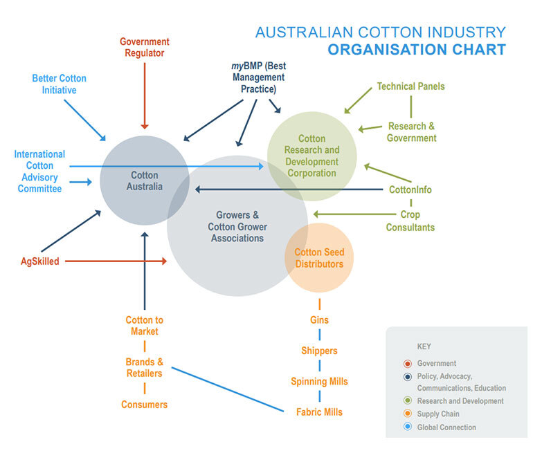 Australian Cotton Industry Organisation Chart