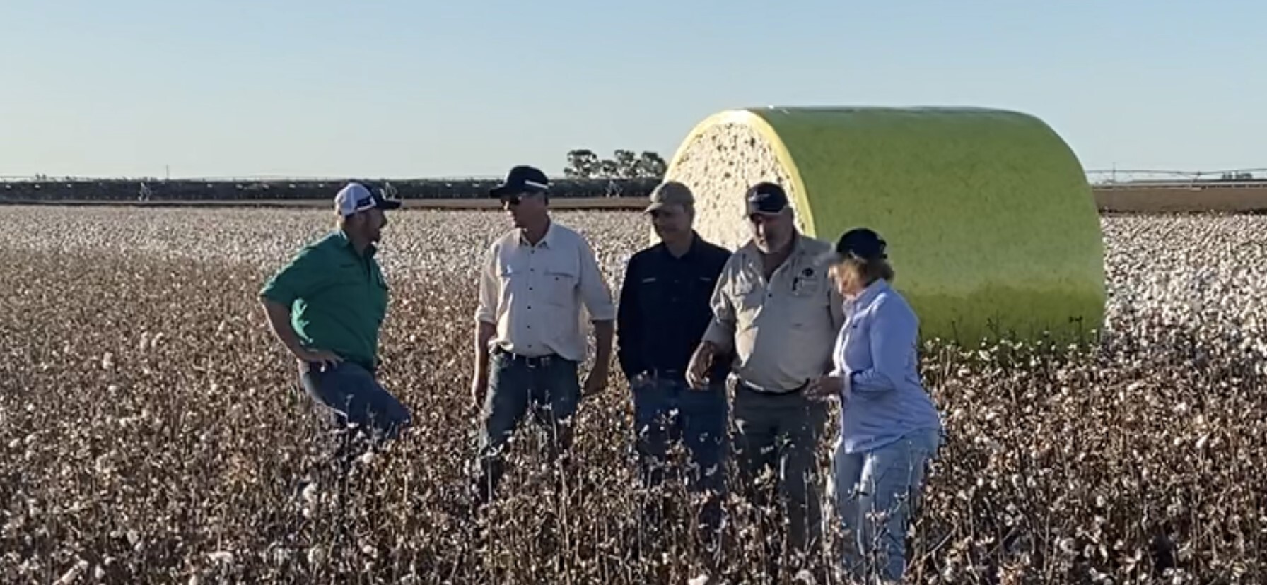 Cotton Australia  Meet Johannes Roellgen - the 2023 Bayer Cotton