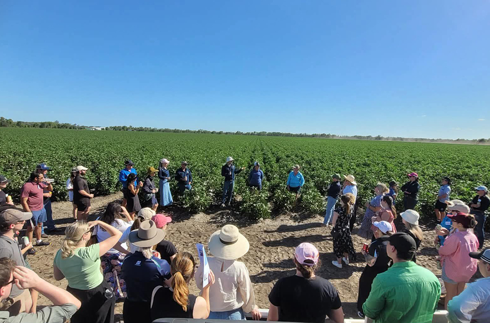 Local educators had the chance to see cotton up close
