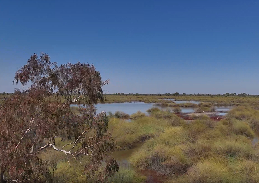 Narran Lakes is recognised under the Ramsar Convention as a wetland of international importance