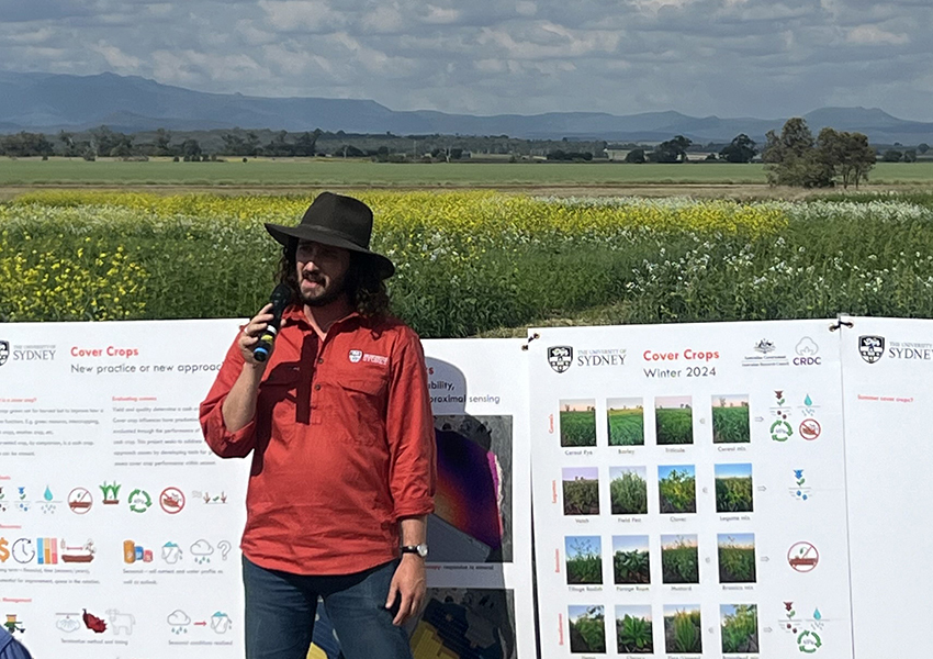 Tom O'Donoghue is experimenting with a range of different cover crops, including: cereals, legumes, brassicas and broadleaves.