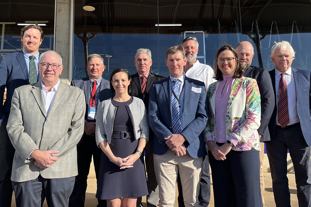 The Cotton Australia board