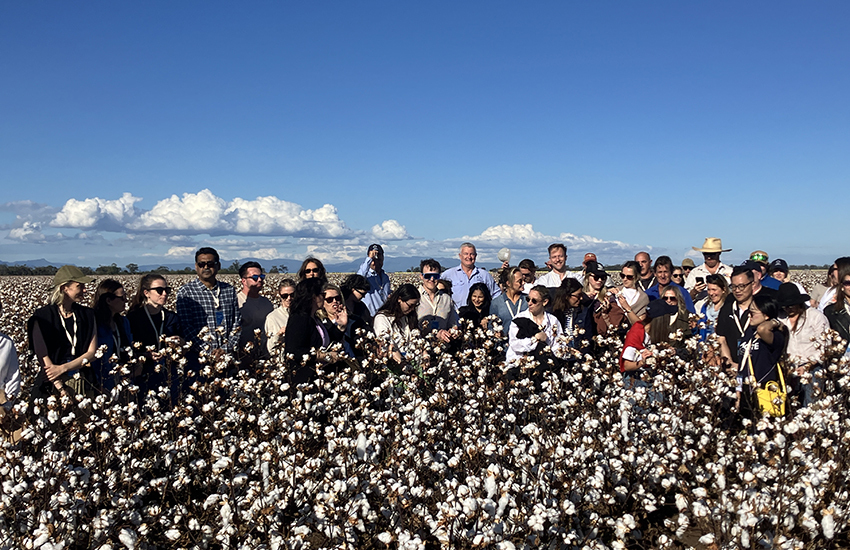 Camp Cotton delegates viewing cotton on the Kahl family farm near Wee Waa