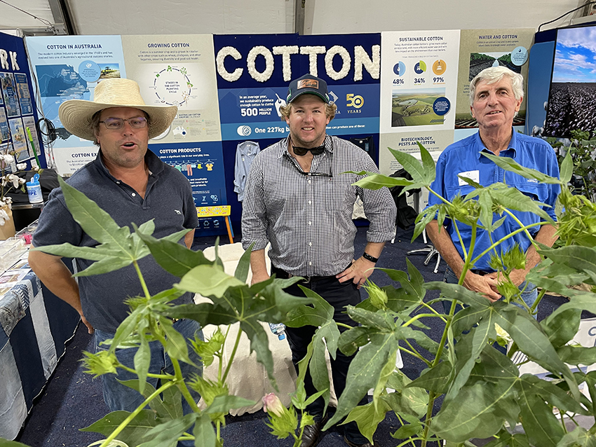 Growers Andrew Gill and Joe Briggs with Cotton Australia's Alec Macintosh