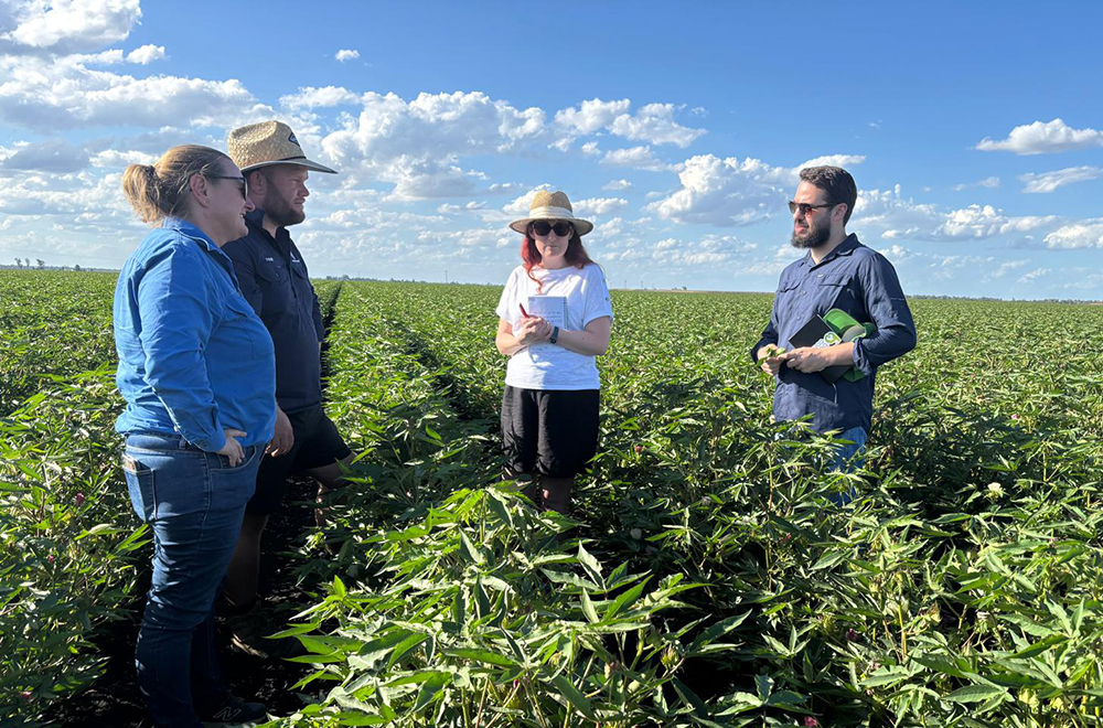 Visiting Tyson Armitage's farm on the Darling Downs
