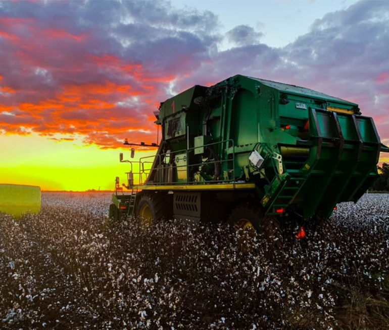 Cotton Australia  Natural disasters, global pandemic creates