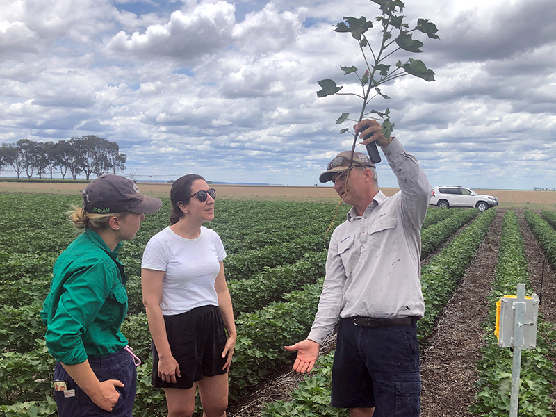 Jacky Broomhead (middle) with Johannes Roellgen and his daughter Lauren at their Darling Downs farm.