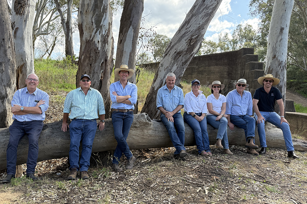 The Cotton Australia Board
