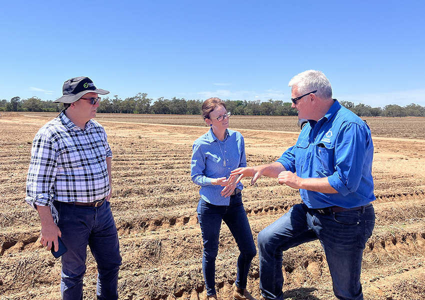 Mark, Steph and Adam in the field at Narramine Station inspecting recently emerged cotton and discussing agronomy and GM technology