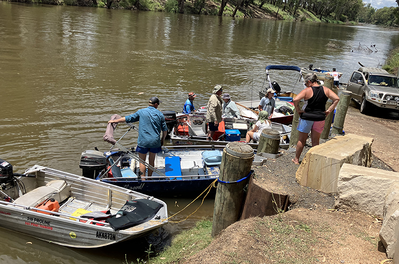 Boosting fish stocks in the Macquarie River