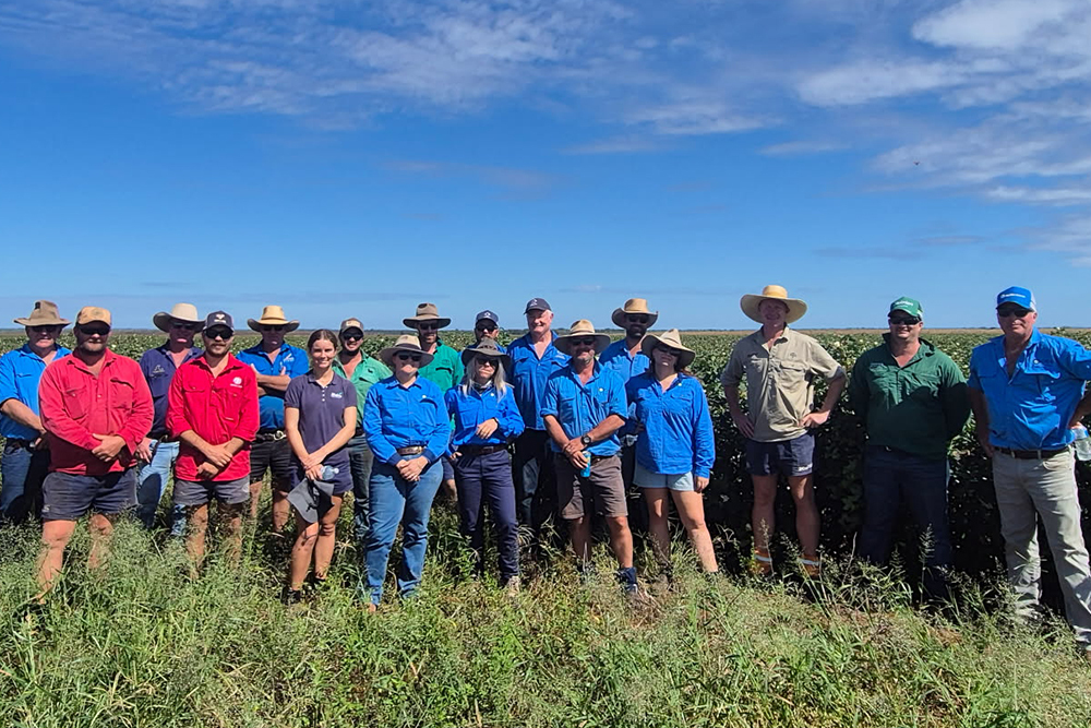 Participants from across the Northern Territory and Western Australia attended the Northern Cotton Growers Association and Cotton Grower Services field day