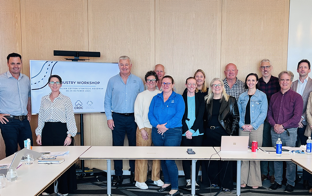 Representatives from Cotton Australia, CRDC and ACSA came together to discuss feedback on the Australian Cotton Strategic Roadmap