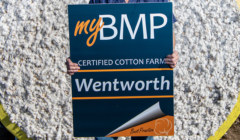 'Wentworth' is one of Kevin Schwager's myBMP certified Dryland Cotton properties.