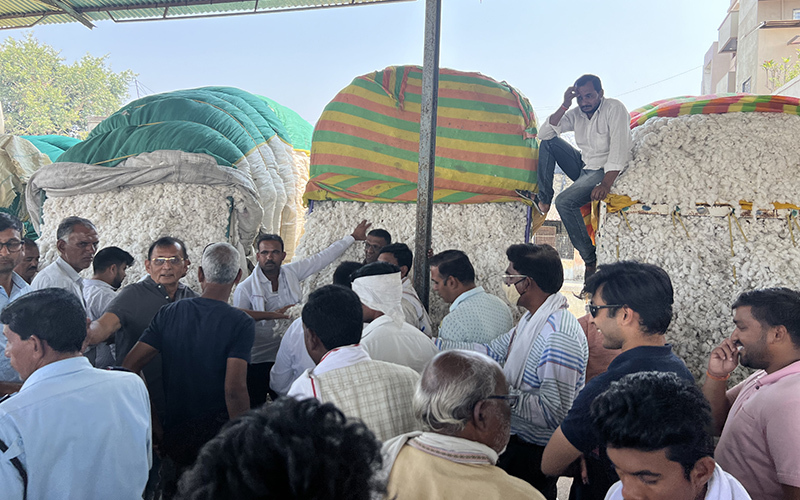 Seed cotton straight from farm being auctioned at cotton market