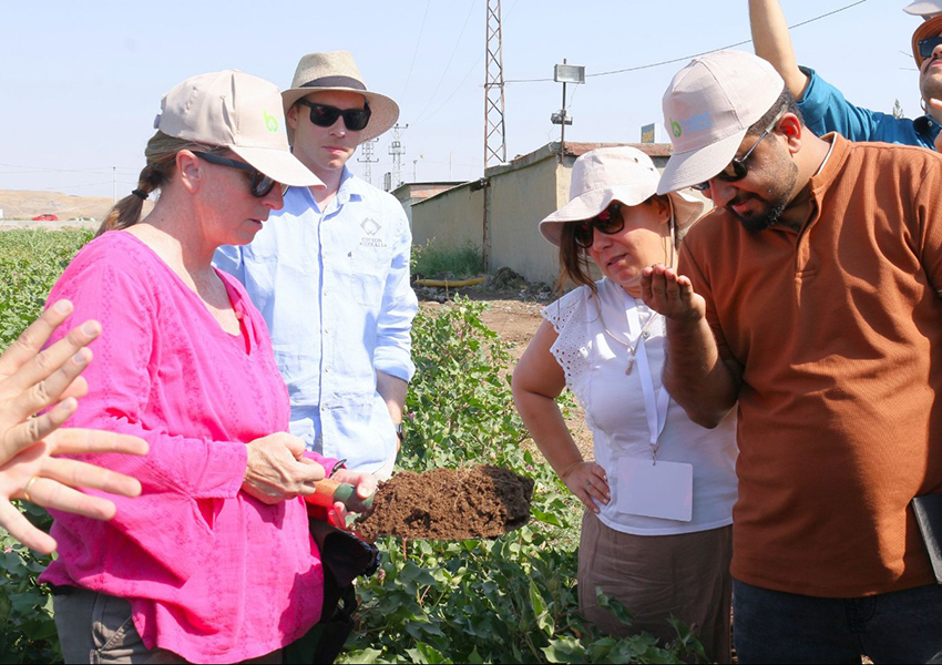 On farm in Türkiye