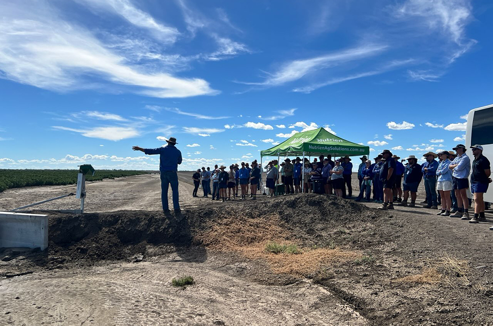 Bankless irrigation was on display at 'Clyde'