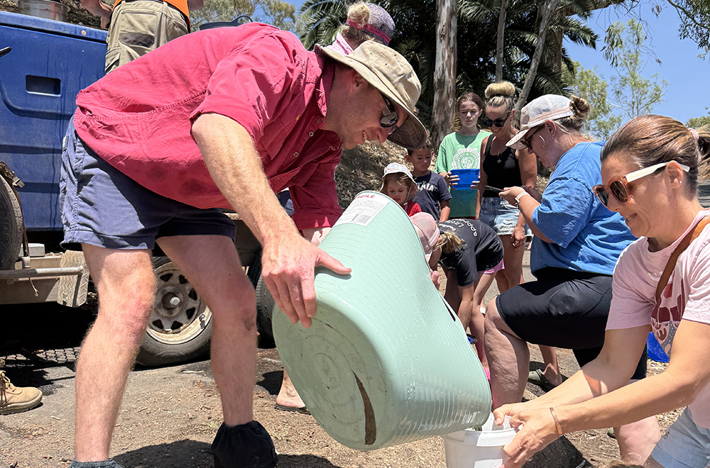 Growers and community members, has released more than 75,000 native fish across four locations in Narromine, Gin Gin, Warren and Gunningbar Creek this week.
